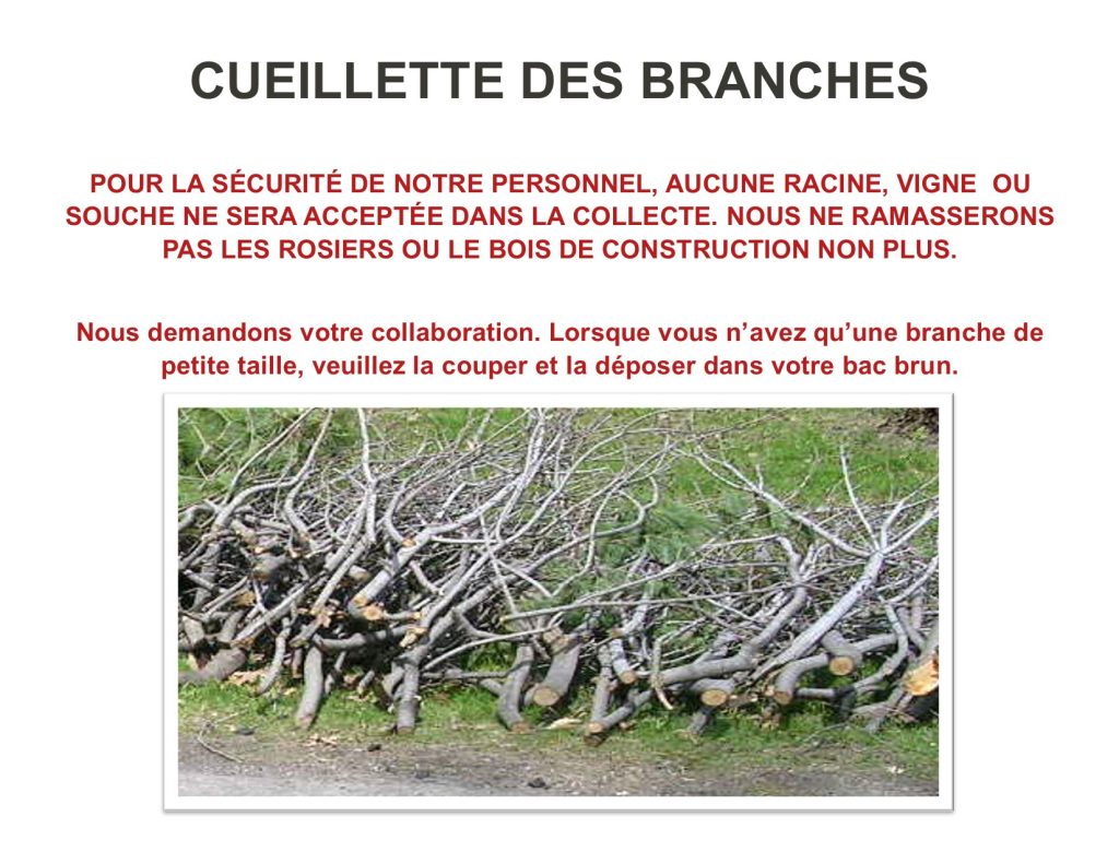 cueillette branches